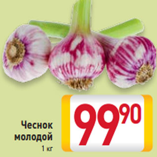 Акция - чеснок молодой