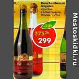 Магазин:Пятёрочка,Скидка:Вино Lambrusco Angelica