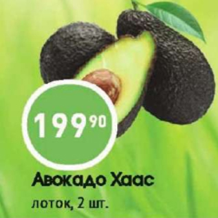 Акция - Авокадо Хаас