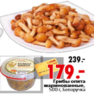 Акция - Грибы опята маринованные, 500 г, Белоручка