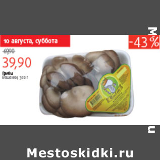 Акция - ГРИБЫ ВЕШЕНКИ