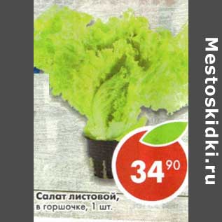 Акция - Салат листовой