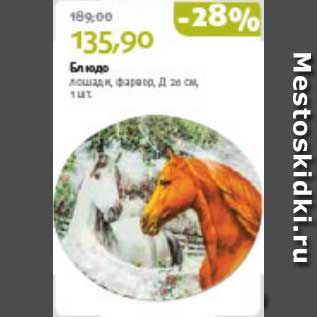 Акция - Блюдо