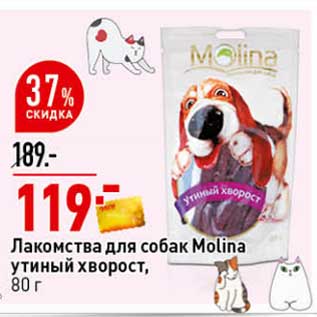 Акция - Лакомства для собак Molina утиный хворост