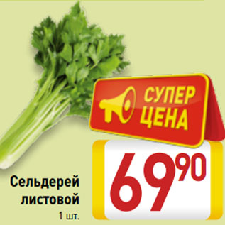 Акция - Сельдерей листовой 1 шт