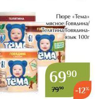 Акция - Пюре «Тема»