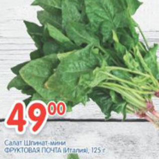 Акция - САЛАТ ФРУКТОВАЯ ПОЧТА