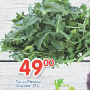 Акция - САЛАТ РУККОЛА ИТАЛИЯ
