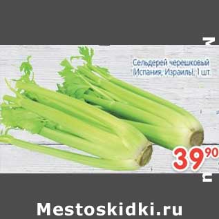 Акция - Сельдерей черешковый