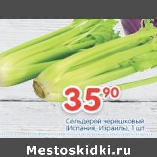 Акция - СЕЛЬДЕРЕЙ ЧЕРЕШКОВЫЙ