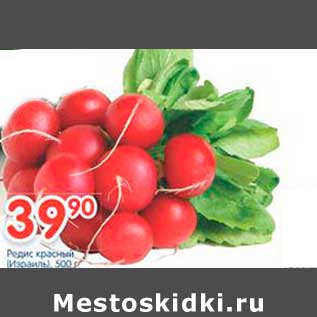 Акция - Редис красный