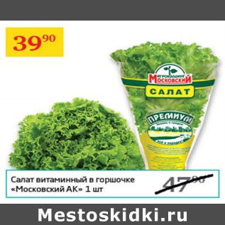 Акция - Салат витаминный в горшочке Московский АК