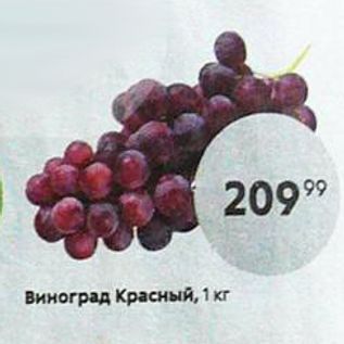 Акция - Виноград Красный, 1 кг