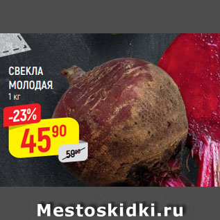 Акция - СВЕКЛА МОЛОДАЯ