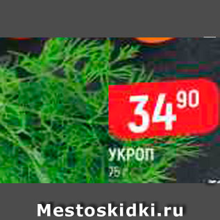 Акция - УКРОП