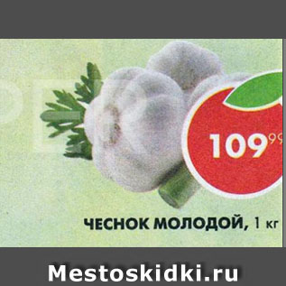 Акция - Чеснок молодой