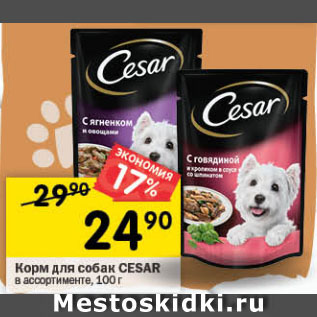 Акция - Корм для собак CESAR