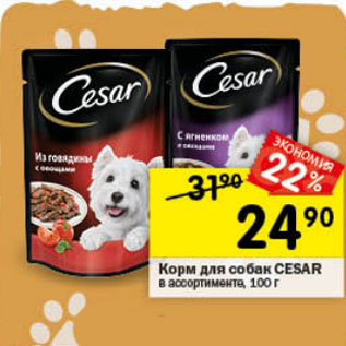 Акция - Корм для собак CESAR