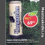 Магазин:Пятёрочка,Скидка:ПИВО HOEGAARDEN, белое, нефильтрованное, 4,9%