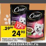 Перекрёсток Акции - Корм для собак CESAR