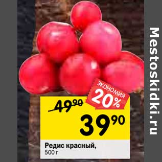 Акция - Редис красный