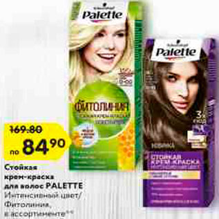 Акция - Стойкая крем-краска для волос PALETTE