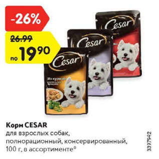 Акция - Корм CESAR для взрослых собак, полнорационный, консервированный