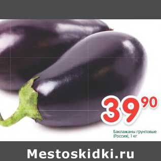 Акция - Баклажаны грунтовые