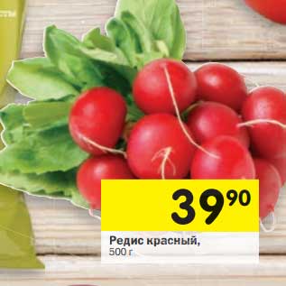 Акция - Редис красный