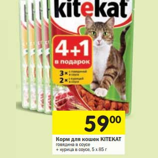Акция - Корм для кошек KITEKAT