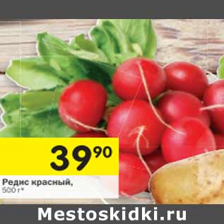Акция - Редис красный