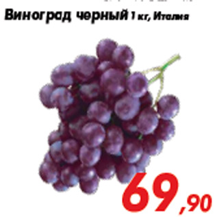 Акция - Виноград черный 1 кг, Италия