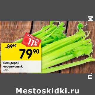 Акция - Сельдерей черешковый