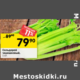 Акция - Сельдерей черешковый