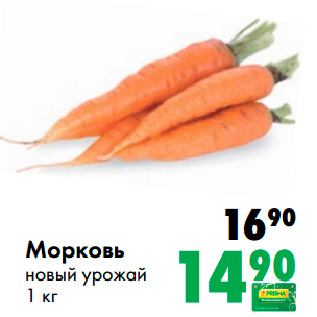 Акция - Морковь новый урожай