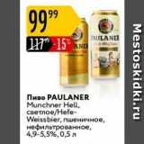 Карусель Акции - Пиво PAULANER