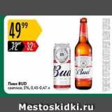 Карусель Акции - Пиво BUD 