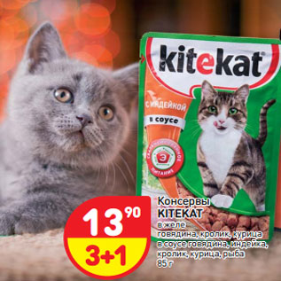 Акция - Консервы Kitekat