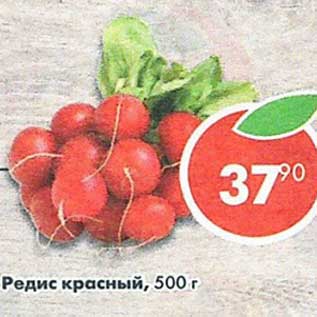 Акция - Редис красный