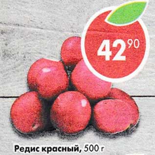 Акция - Редис красный