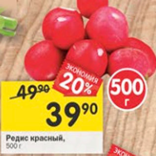 Акция - Редис красный