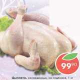 Магазин:Пятёрочка,Скидка:Цыплята охлажденные на подложке 