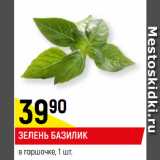 Магазин:Верный,Скидка:ЗЕЛЕНЬ БАЗИЛИК
в горшочке