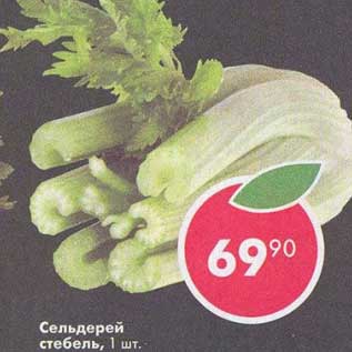 Акция - Сельдерей стебель
