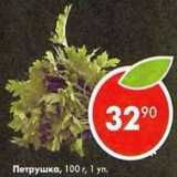 Магазин:Пятёрочка,Скидка:Петрушка 1 уп