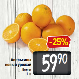 Акция - Апельсины новый урожай Египет 1 кг