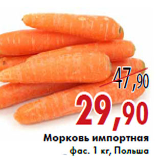 Акция - Морковь импортная
