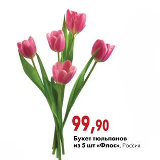 Акция - Букет тюльпанов из 5 шт «Флос»