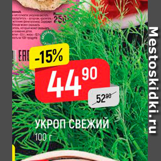 Акция - Укроп свежий
