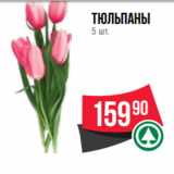 Магазин:Spar,Скидка:Тюльпаны
5 шт.
